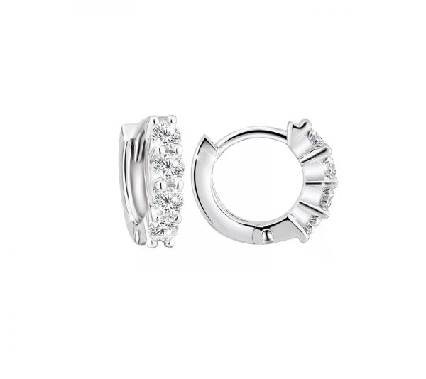 E3192 Hoop Earrings