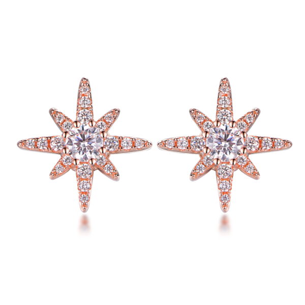 E3647 Polaris Earrings 北極星